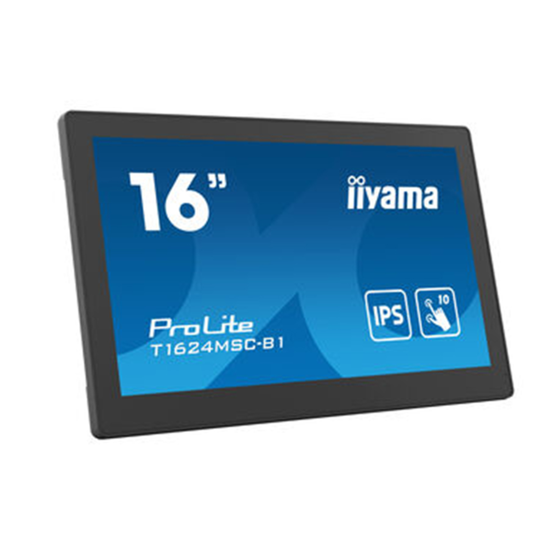Монитор iiyama ProLite PLT1624M T1624MSC-B1 16"