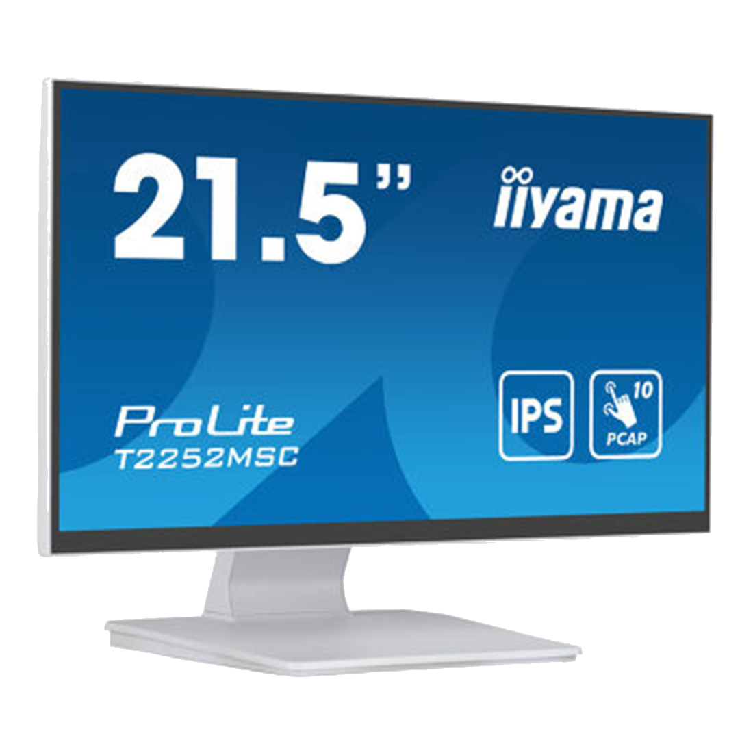 Монитор iiyama ProLite PLT2254M T2254MSC-B1AG 21.5"